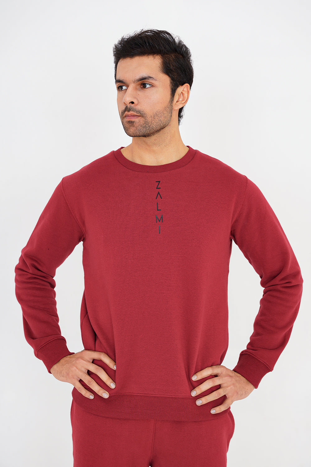 Zalmi Logo Sweatshirt - Zalmi store
