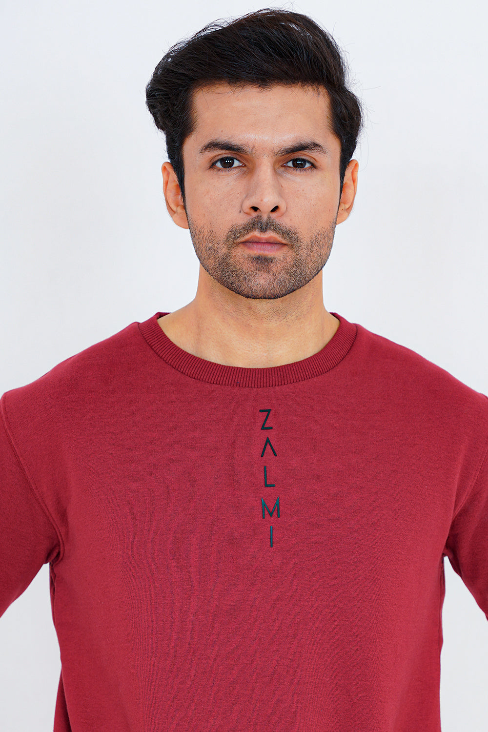 Zalmi Logo Sweatshirt - Zalmi store