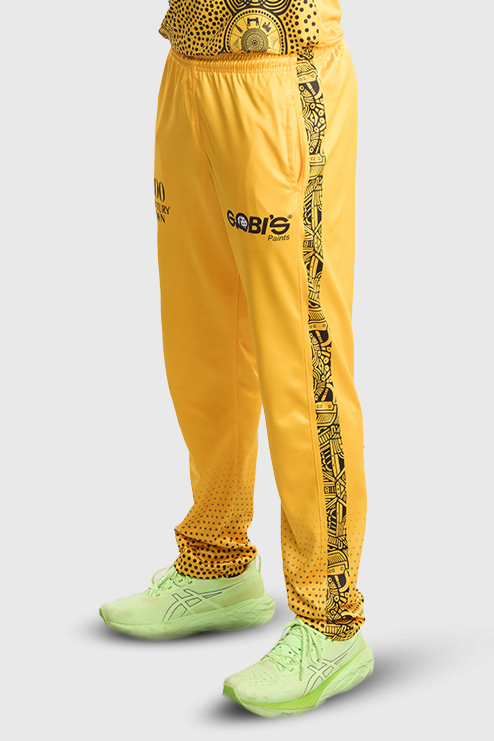 Peshawar Zalmi Official PSL 9