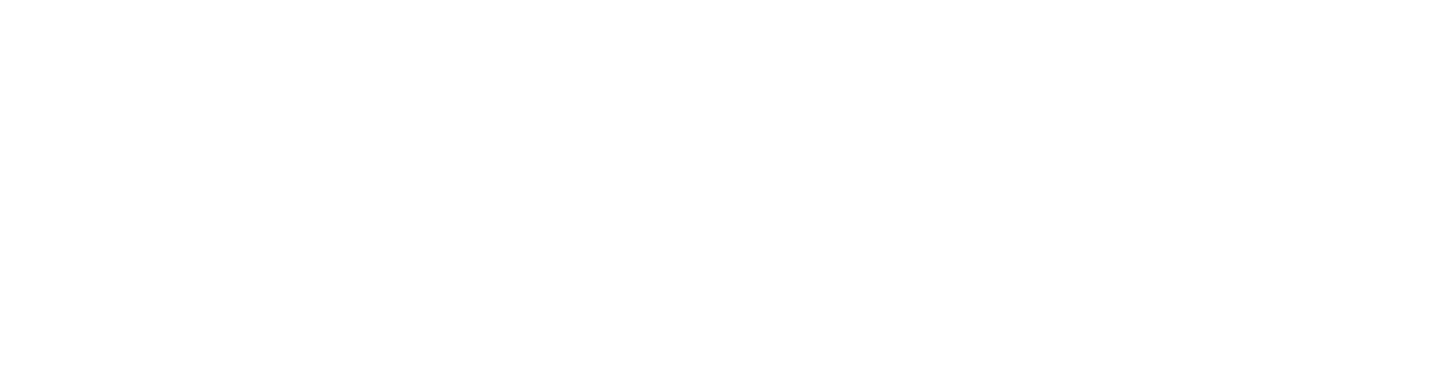Zalmi
