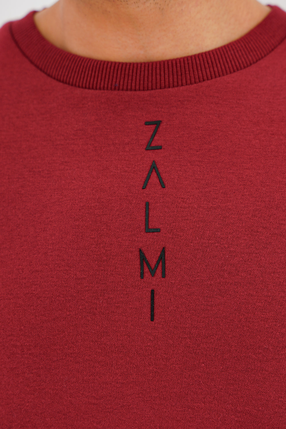 Zalmi Logo Sweatshirt - Zalmi store